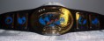 Intercontinental Champion - 